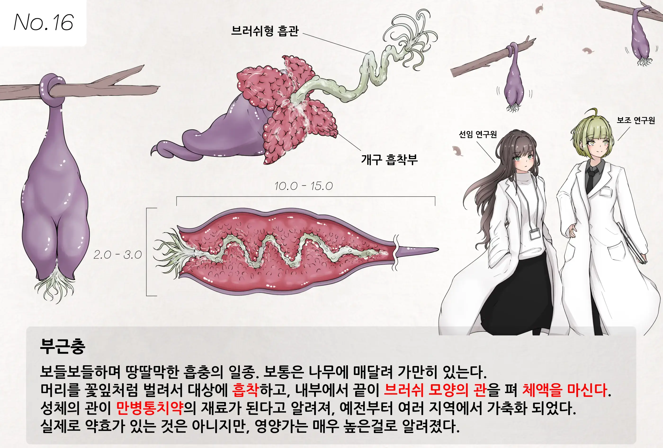 Insect Research Report